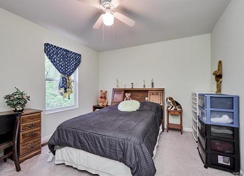 869 Mallard Woods, Manchester, MO 63021 photo 17
