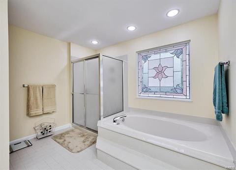 869 Mallard Woods, Manchester, MO 63021 photo 15