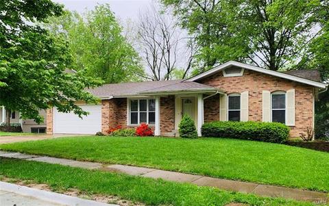 1144 Great Falls Ct, Manchester, MO 63021 photo 1