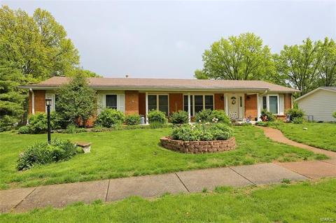 5406 Danforth Dr, Saint Louis, MO 63129 photo 1