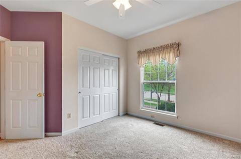 256 Valleybrook Ct, O'fallon, MO 63368 photo 16
