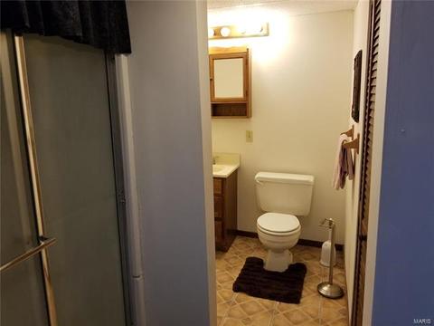 902 Bridle Path, O'fallon, MO 63366 photo 30