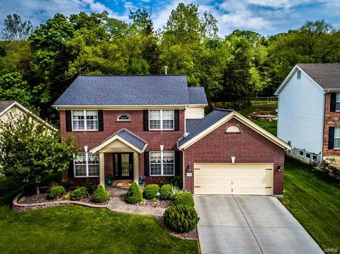 17221 Hilltop Rdg, Eureka, MO 63025 photo 50