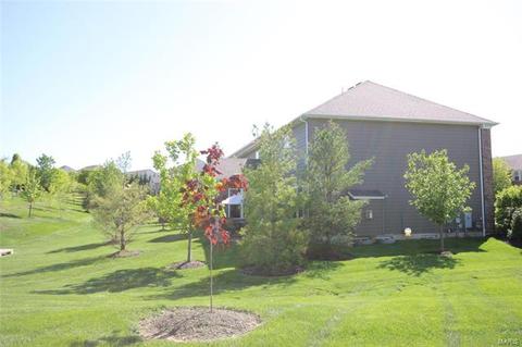 406 Oak Stand Path, Chesterfield, MO 63005 photo 49