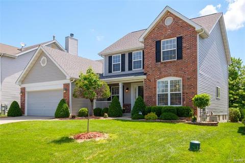 1222 Cold Spring Dr, O'fallon, MO 63368 photo 34