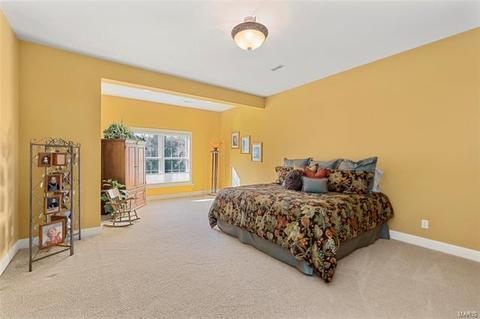 403 Tudor Trace Ct, Weldon Spring, MO 63304 photo 80