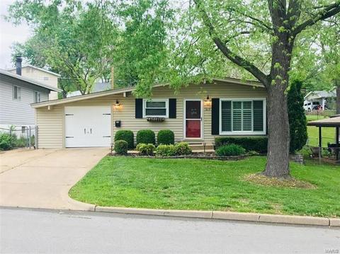 317 Saint Lawrence Dr, Ballwin, MO 63021 photo 1