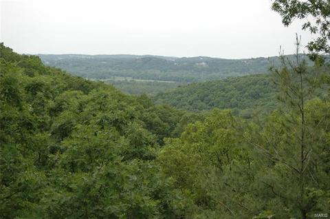 1514 Hawk Forest Rd, Wildwood, MO 63021 photo 59