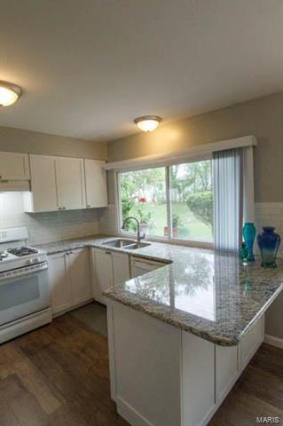 686 Walnut Point Ct, Ballwin, MO 63021 photo 7