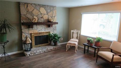 686 Walnut Point Ct, Ballwin, MO 63021 photo 4