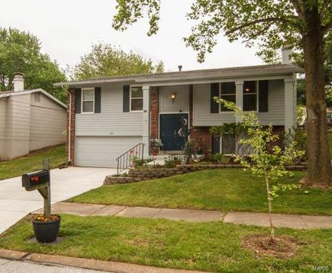 686 Walnut Point Ct, Ballwin, MO 63021 photo 1