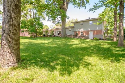 706 Cordes St, O'fallon, MO 63366 photo 22