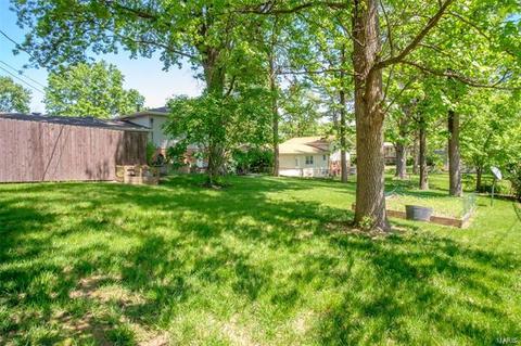706 Cordes St, O'fallon, MO 63366 photo 23