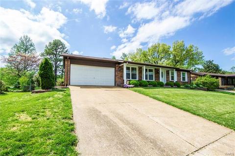 247 Braeshire Dr, Ballwin, MO 63021 photo 36