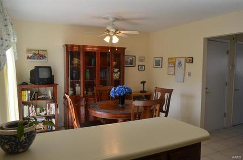 208 Carmel Woods Dr, Ellisville, MO 63021 photo 19