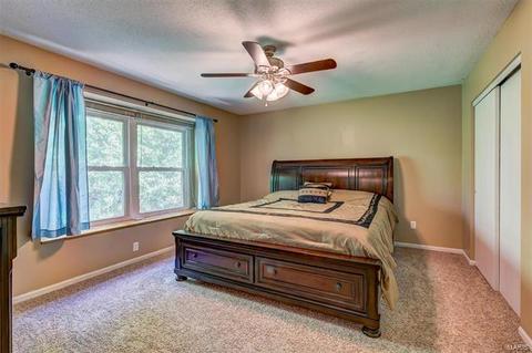 825 Ginger Wood Ct, Ballwin, MO 63021 photo 15