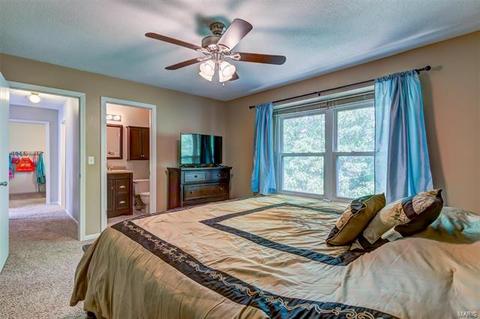 825 Ginger Wood Ct, Ballwin, MO 63021 photo 17