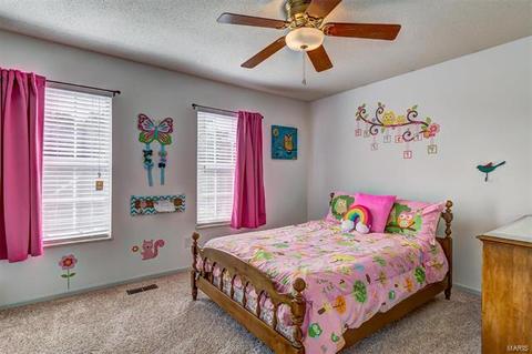 825 Ginger Wood Ct, Ballwin, MO 63021 photo 18