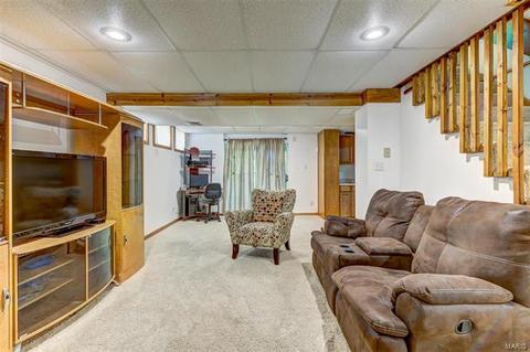 825 Ginger Wood Ct, Ballwin, MO 63021 photo 21