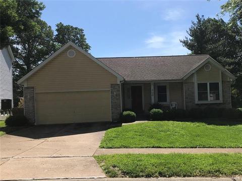 206 Westridge Parc Ln, Ellisville, MO 63021 photo 1