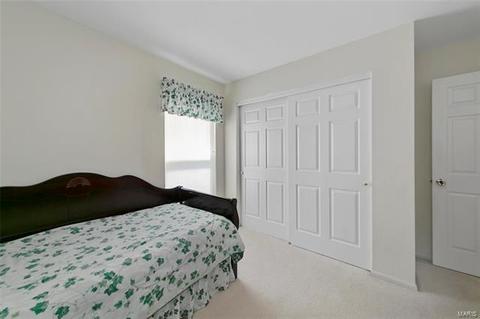 419 Winter Wind, O'fallon, MO 63366 photo 26