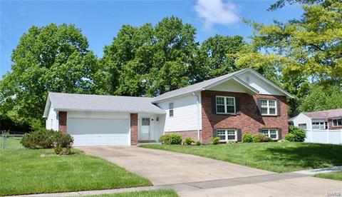 11700 Benedetta Dr, Bridgeton, MO 63044 photo 1