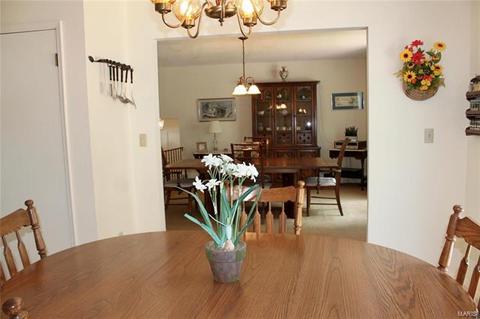 11700 Benedetta Dr, Bridgeton, MO 63044 photo 16