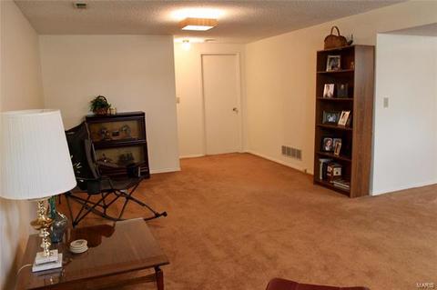 11700 Benedetta Dr, Bridgeton, MO 63044 photo 26