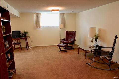 11700 Benedetta Dr, Bridgeton, MO 63044 photo 24