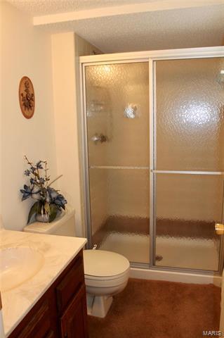 11700 Benedetta Dr, Bridgeton, MO 63044 photo 28