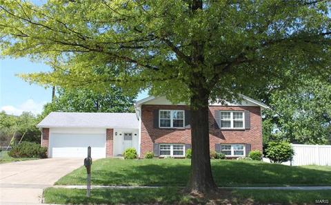 11700 Benedetta Dr, Bridgeton, MO 63044 photo 2