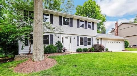 730 Muir View Dr, Ballwin, MO 63011 photo 21