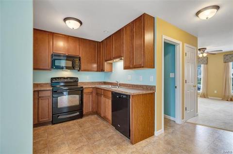 308 Shady Rock Ln, O'fallon, MO 63368 photo 9
