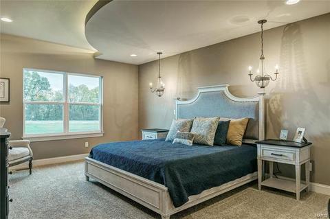 107 Stone Ridge Meadows Dr, O'fallon, MO 63366 photo 23