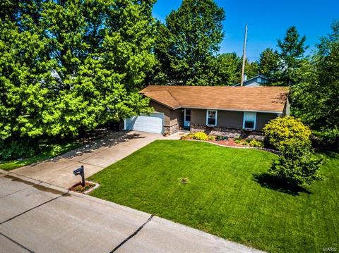 1185 Haven View Dr, O'fallon, MO 63366 photo 25