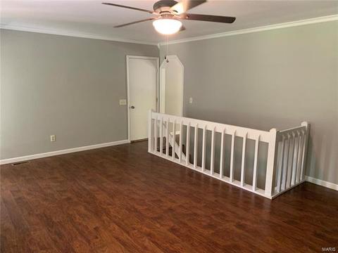 806 Pepper Ln, O'fallon, MO 63366 photo 5