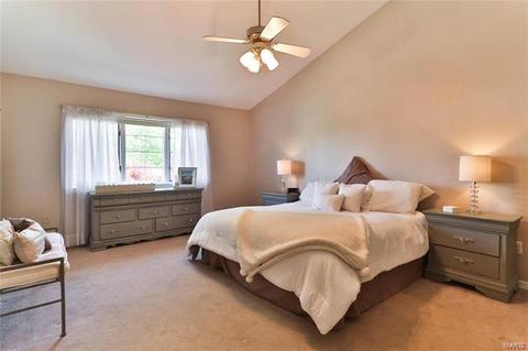 607 Carman Forest Ln, Ballwin, MO 63021 photo 28