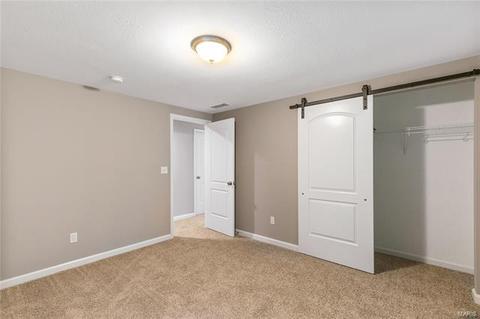 1314 Lombez Dr, Manchester, MO 63021 photo 15