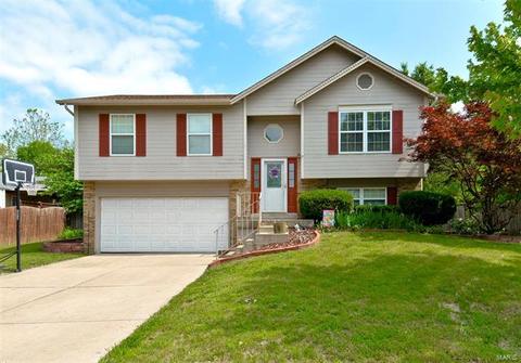 6437 Long Timber Dr, O'fallon, MO 63368 photo 1