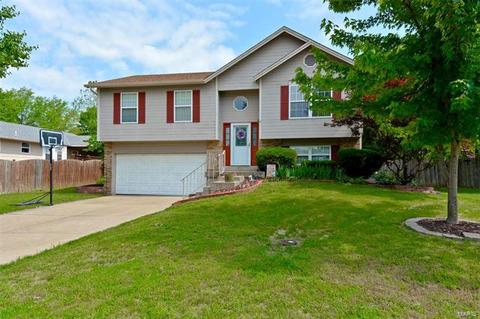 6437 Long Timber Dr, O'fallon, MO 63368 photo 33