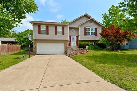 6437 Long Timber Dr, O'fallon, MO 63368 photo 32