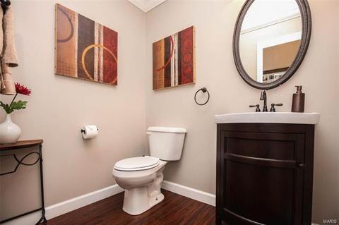 6 Tinderbox Ct, O'fallon, MO 63368 photo 24