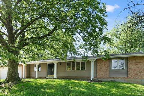 906 Del Ebro, Ballwin, MO 63011 photo 2