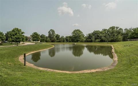 219 Coachgate Ln, Ballwin, MO 63021 photo 32