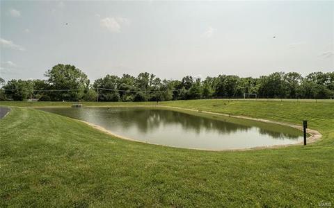 219 Coachgate Ln, Ballwin, MO 63021 photo 31