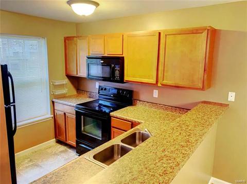 15102 Spring Crk, O'fallon, MO 63368 photo 5