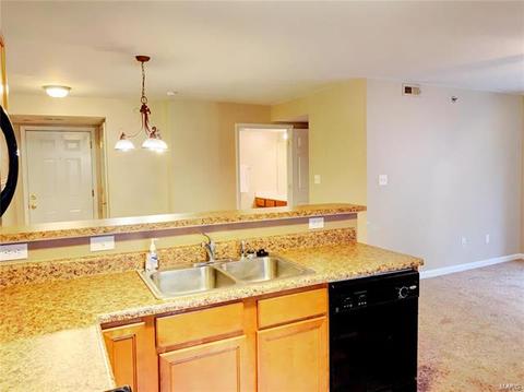 15102 Spring Crk, O'fallon, MO 63368 photo 6