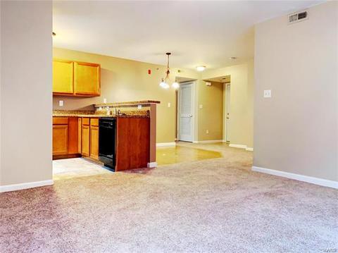 15102 Spring Crk, O'fallon, MO 63368 photo 8