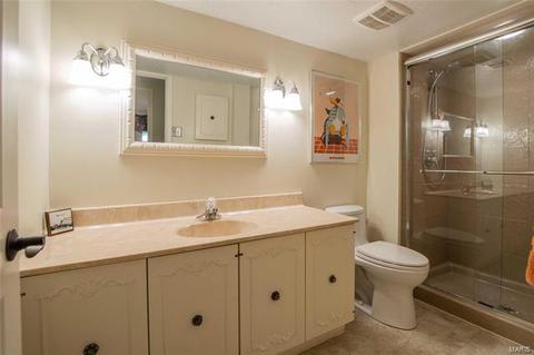 5 Swindon Ct, Manchester, MO 63011 photo 20