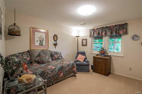 5 Swindon Ct, Manchester, MO 63011 photo 21